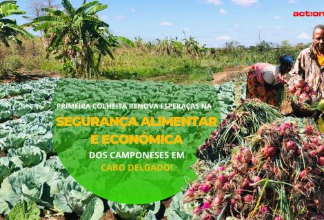 Resiliência Comunitária e Empoderamento de Jovens em Cabo Delgado