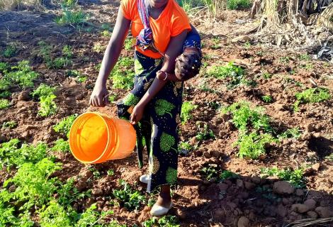 “𝐎 𝐌𝐄𝐔 𝐒𝐎𝐍𝐇𝐎 É 𝐓𝐄𝐑 𝐀 𝐌𝐈𝐍𝐇𝐀 𝐏𝐑𝐎́𝐏𝐑𝐈𝐀 𝐂𝐀𝐒𝐀”: ÂNGELA CHAIBO APOSTA NA AGRICULTURA PARA MELHORAR A VIDA DA SUA FAMÍLIA 