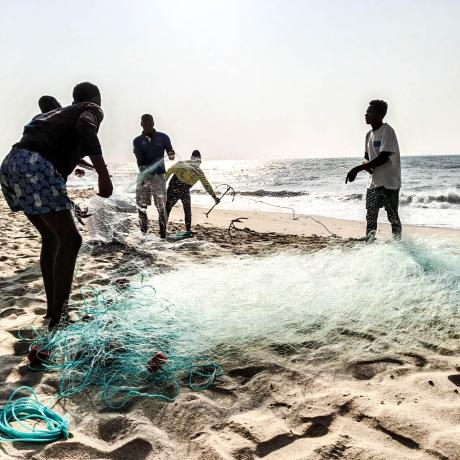 Pesca