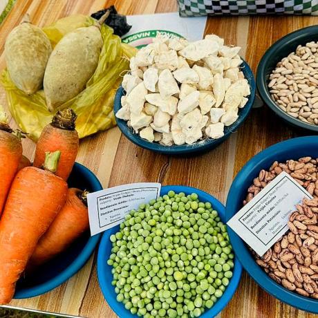 GRUPOS DE POUPANÇA DO PROJECTO PREVENÇÃO DO EXTREMISMO VIOLENTO EXPÕEM E COMERCIALIZAM PRODUTOS NA FEIRA DE EMPREGO EM LICHINGA