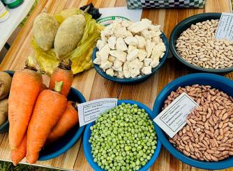 GRUPOS DE POUPANÇA DO PROJECTO PREVENÇÃO DO EXTREMISMO VIOLENTO EXPÕEM E COMERCIALIZAM PRODUTOS NA FEIRA DE EMPREGO EM LICHINGA